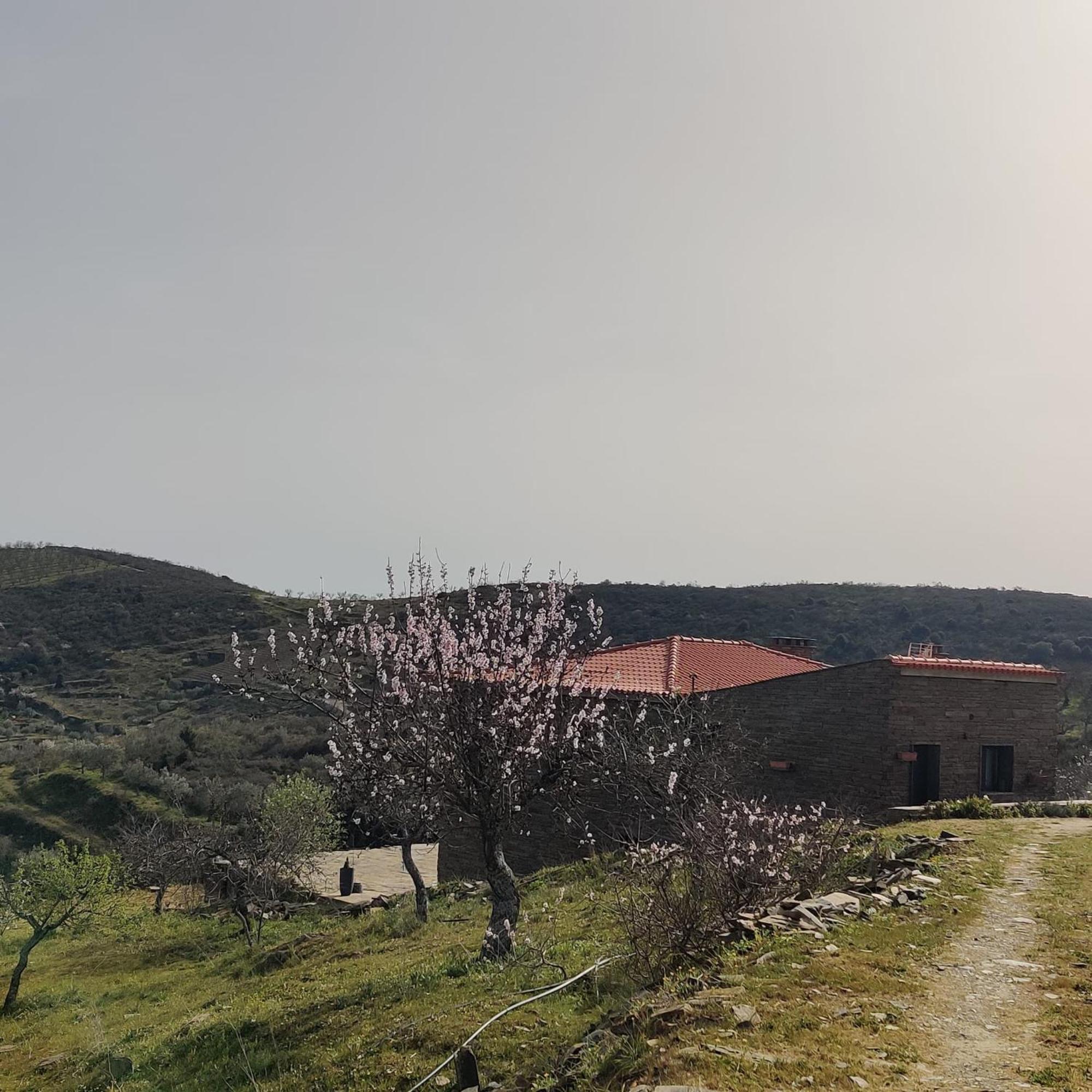 Вілла Eira Da Fraga Віла-Нова-де-Фош-Коа Екстер'єр фото